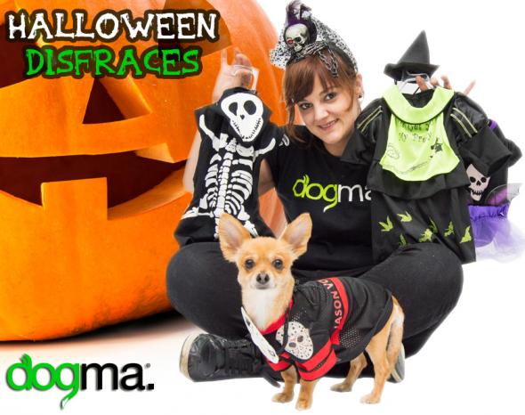 Disfraces de Halloween para perro