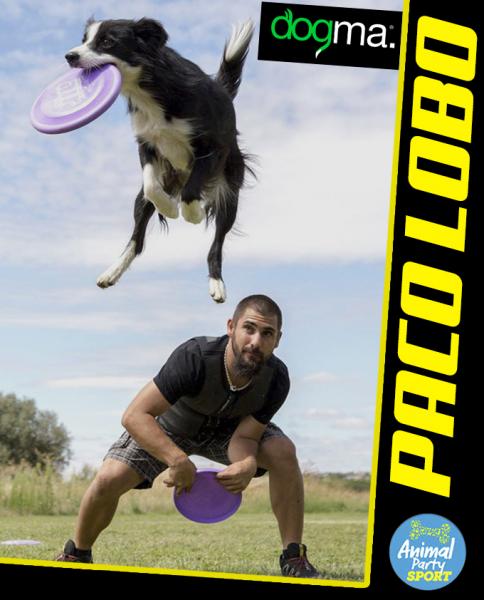 Animal Party Sport - PACO LOBO