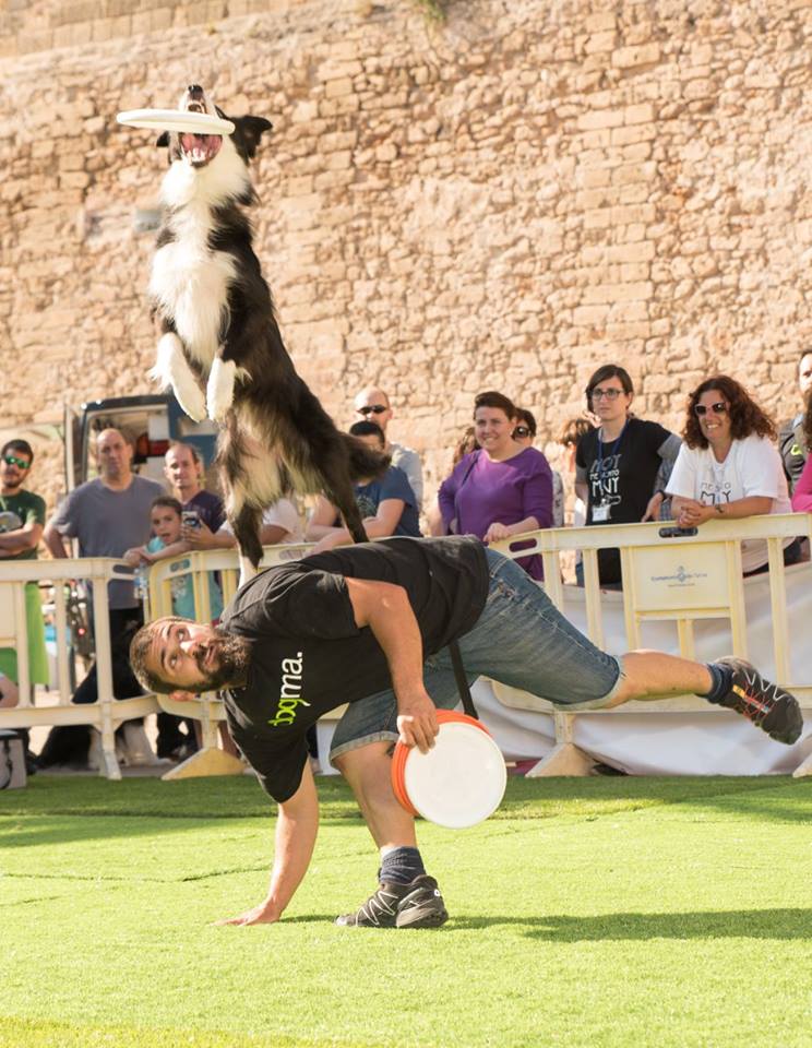 Animal Party Sport Paco Lobo