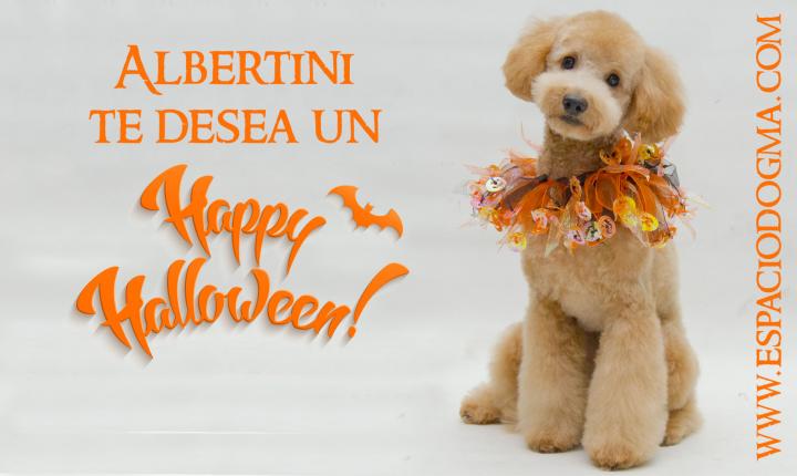 Accesorios para Halloween para perros
