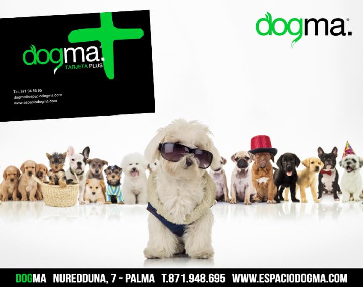 Nuevo Vale de tu tarjeta Dogma PLUS canjeable en Dogma