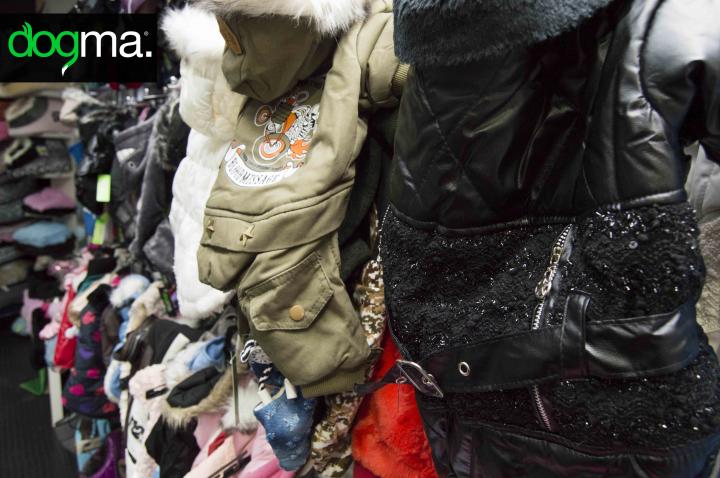 Moda canina y felina